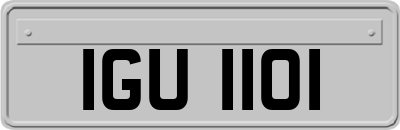 IGU1101