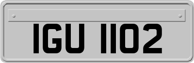 IGU1102