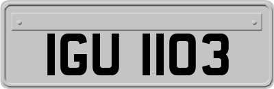 IGU1103