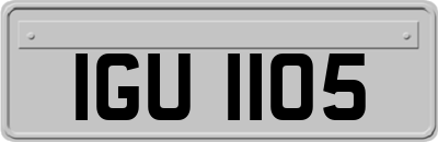 IGU1105