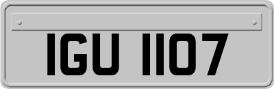 IGU1107