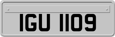 IGU1109