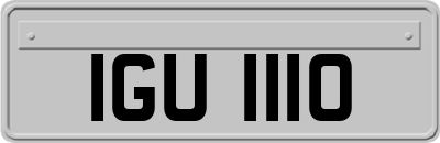 IGU1110