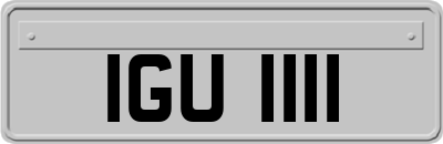 IGU1111