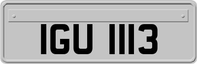 IGU1113