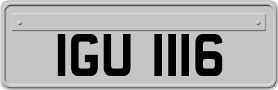 IGU1116