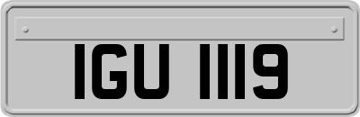 IGU1119
