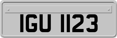 IGU1123