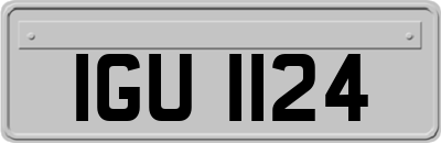 IGU1124