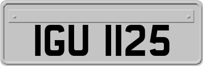 IGU1125
