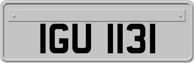 IGU1131
