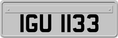 IGU1133
