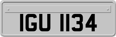IGU1134