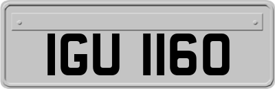 IGU1160