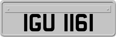 IGU1161