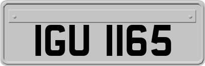 IGU1165
