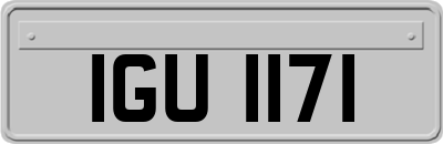 IGU1171