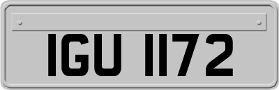 IGU1172