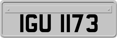 IGU1173