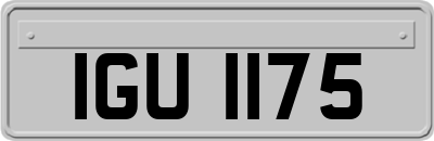 IGU1175