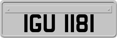 IGU1181