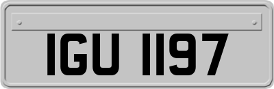 IGU1197