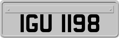 IGU1198