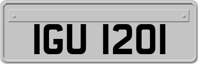 IGU1201
