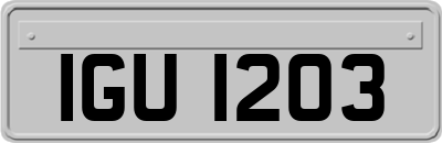 IGU1203