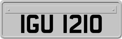 IGU1210