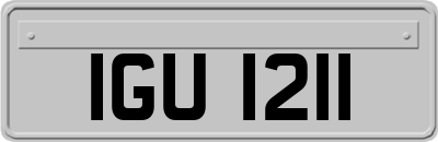 IGU1211