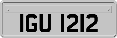IGU1212