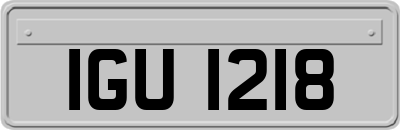 IGU1218