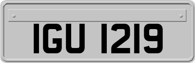 IGU1219