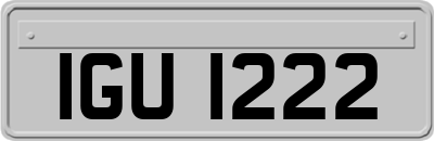 IGU1222