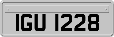 IGU1228