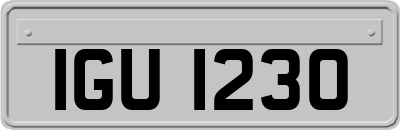 IGU1230