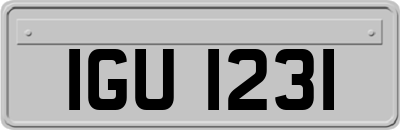IGU1231