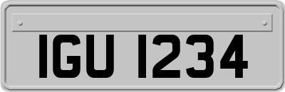 IGU1234