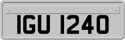IGU1240