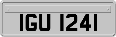 IGU1241
