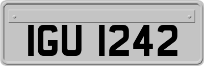 IGU1242