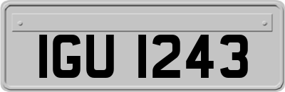 IGU1243