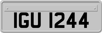 IGU1244