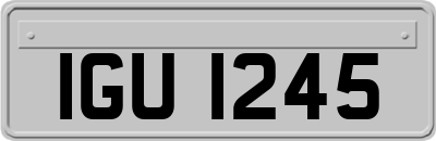 IGU1245