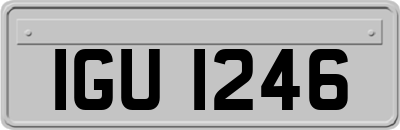 IGU1246
