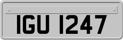 IGU1247
