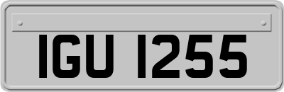 IGU1255