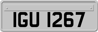 IGU1267
