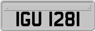 IGU1281